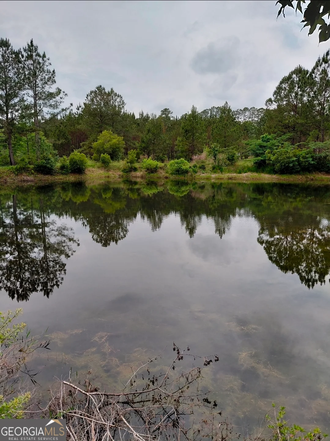 436 Russell Boulevard Unit ACRES 21.45, St. George, GA, 31562