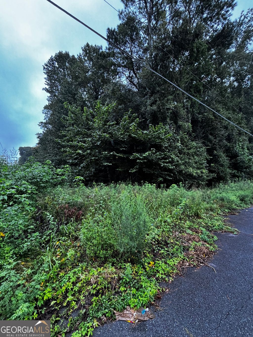 Photo of 8202 Freestone Drive, Jonesboro, GA 30236 (MLS # 10653522)