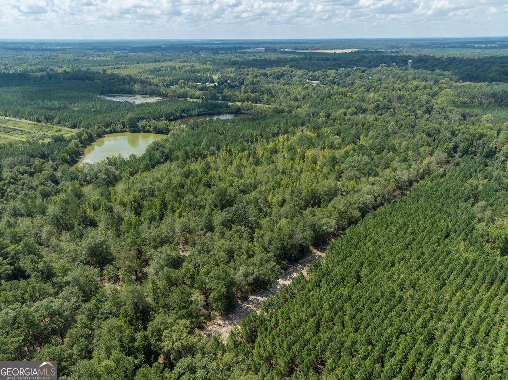 Photo of 0 Sinquefield Road, Harrison, GA 31035 (MLS # 10570118)