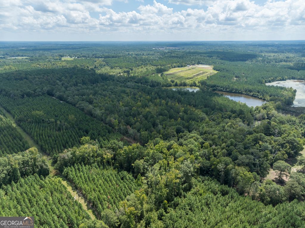 Photo of 0 Sinquefield Road, Harrison, GA 31035 (MLS # 10570118)