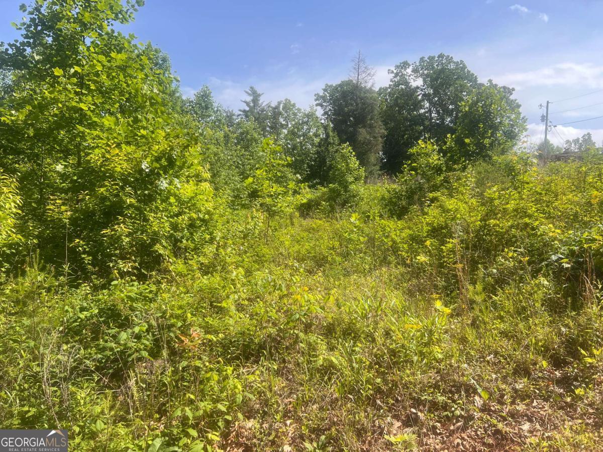 LOT 104 Ashe CT 104
