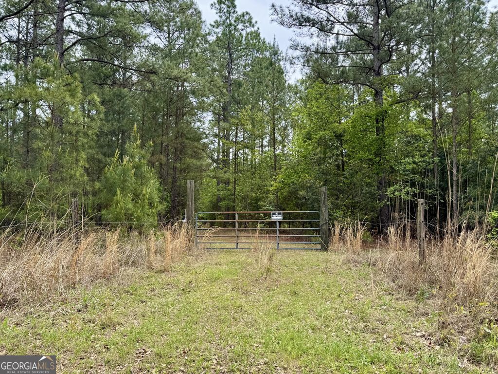 Photo of 1085 Roy Lawrence Road, Sparta, GA 31087 (MLS # 10738963)