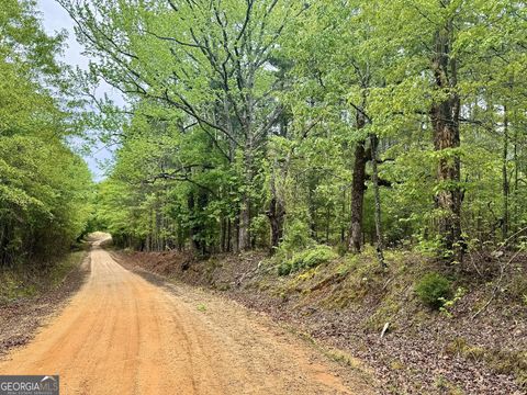 Photo of 1085 Roy Lawrence Road, Sparta, GA 31087 (MLS # 10738963)