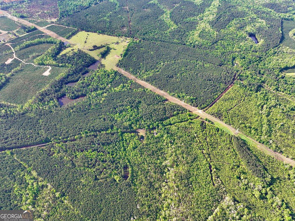 Photo of 1085 Roy Lawrence Road, Sparta, GA 31087 (MLS # 10738963)