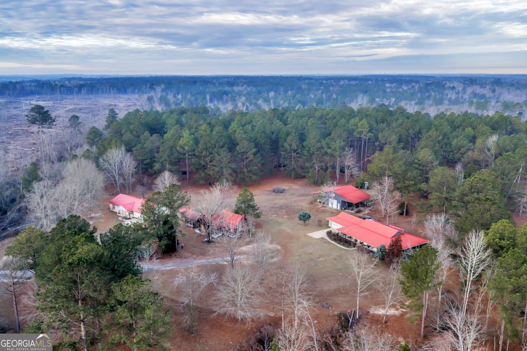 Photo of 241 Foskey Cemetary Road, Adrian, GA 31002 (MLS # 10817022)
