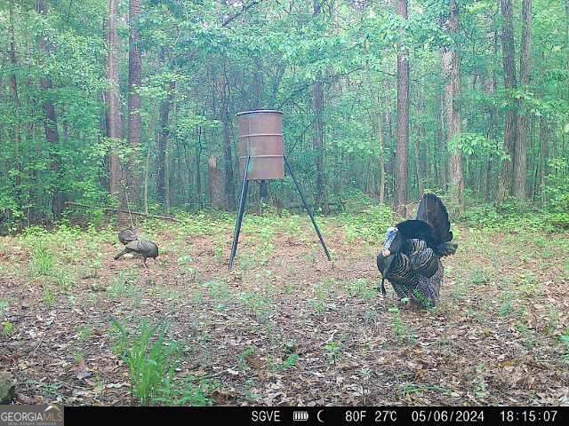 0 Co Rd 878