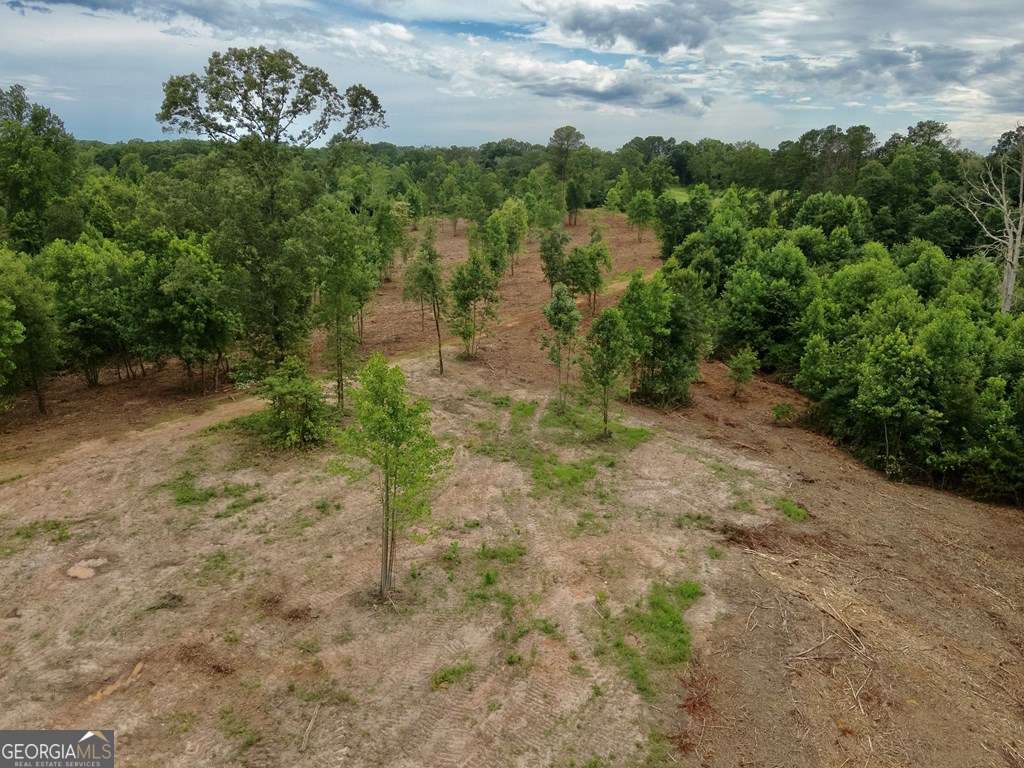 0 Co Rd 878
