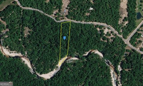 Photo of 1801 St Marys River Bluff Rd, St George, GA 31562 (MLS # 10703670)