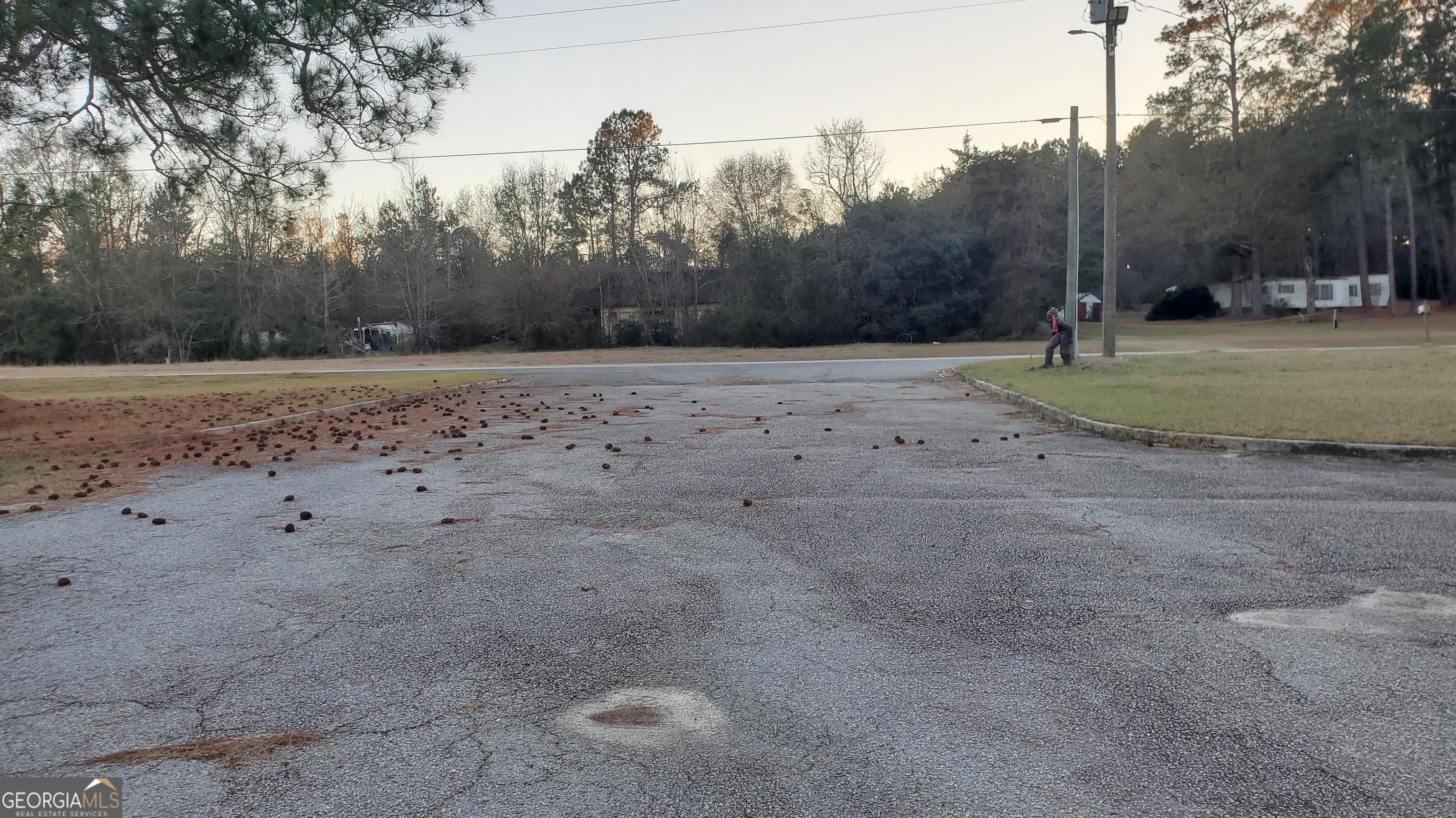 10328 Ga Highway 29