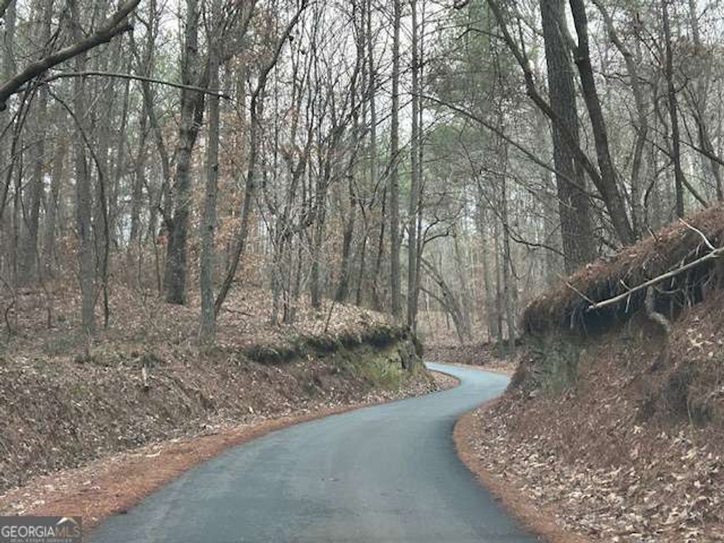 Photo of 1089 Damascus Drive, Ball Ground, GA 30107 (MLS # 10664993)