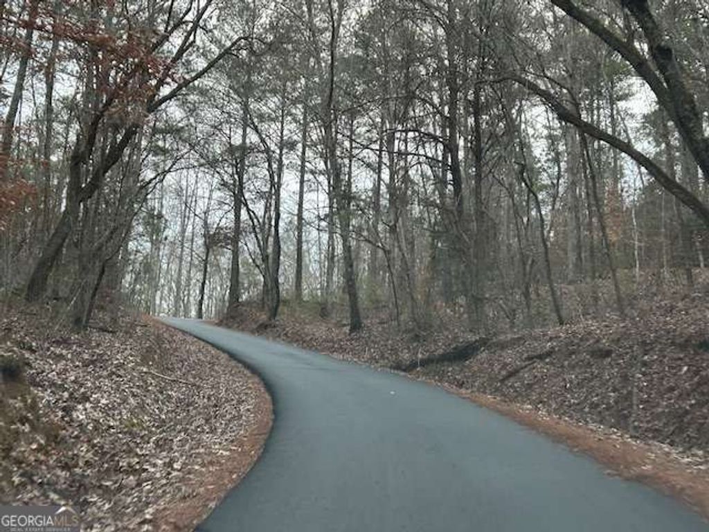 Photo of 1089 Damascus Drive, Ball Ground, GA 30107 (MLS # 10664993)