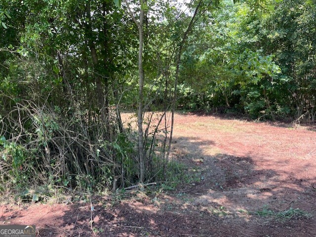 Nestled in a quiet community of great people and outside of town, but not too far from grocery and shopping at Tanger. Within 2 miles of the East Jackson school system. Access to county water, sewage and internet, or have your own well and septic tank. This special property has some hardwoods and a small stream of water on the backside of the property. Build your own home or put your own home on it. Lots of potential. Road Frontage has an underground cattle crossing.