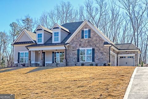 162 Northern Spy DR Clarkesville GA 30523