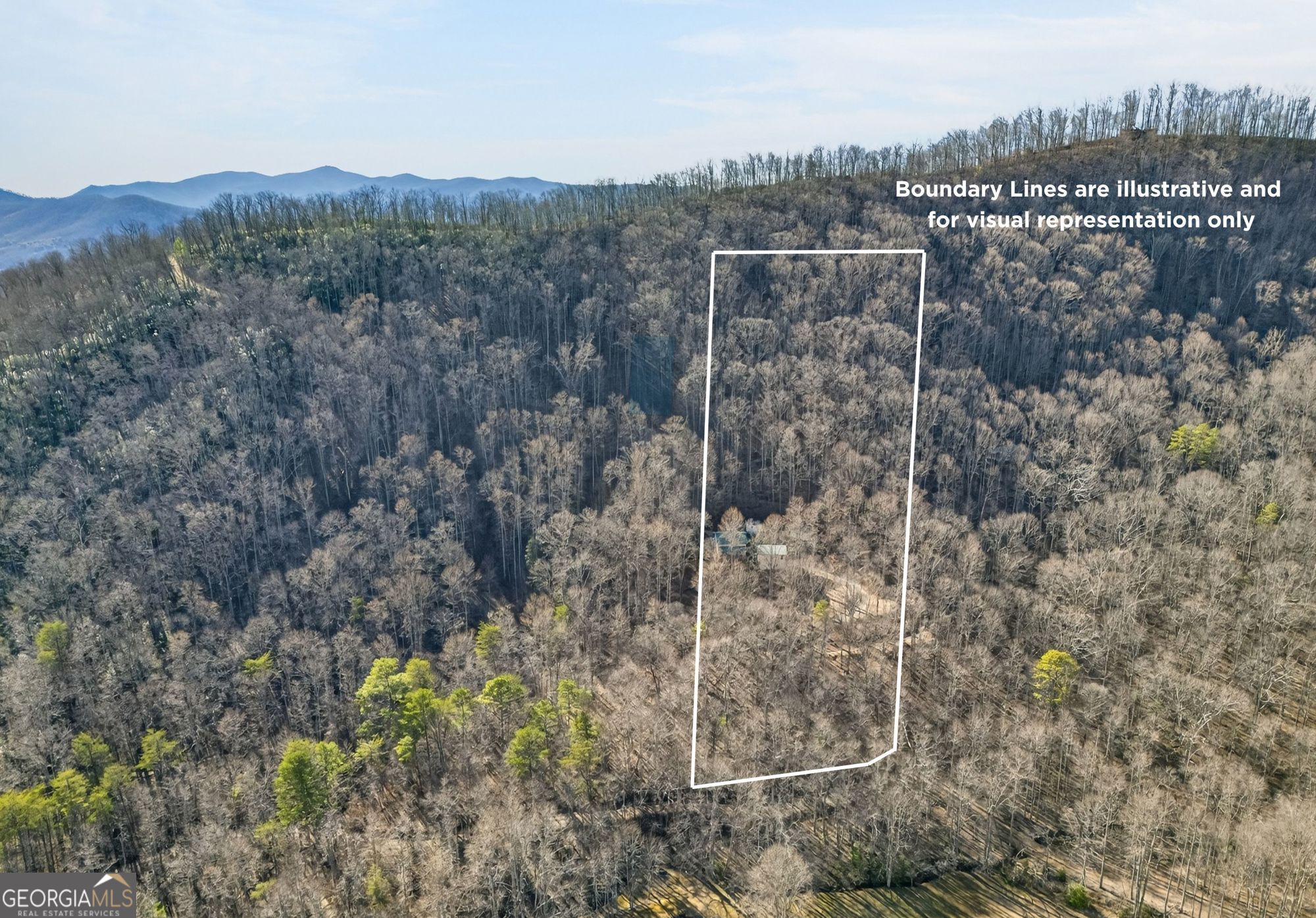 317 Collins Creek RD