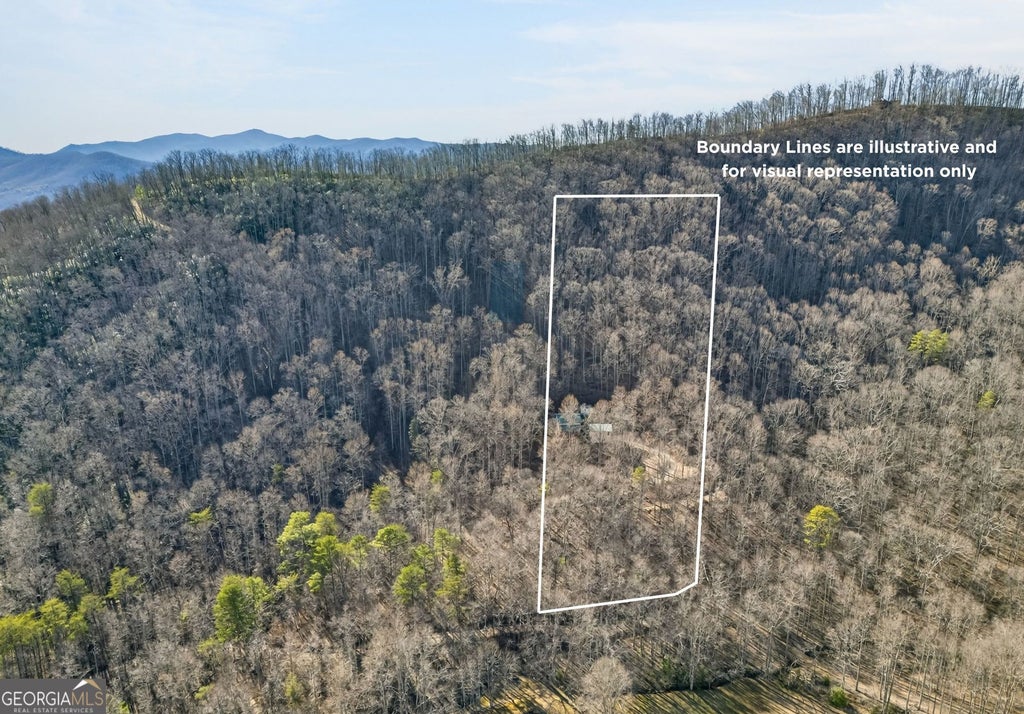 Photo of 317 Collins Creek Road, Hiawassee, GA 30546 (MLS # 10875232)