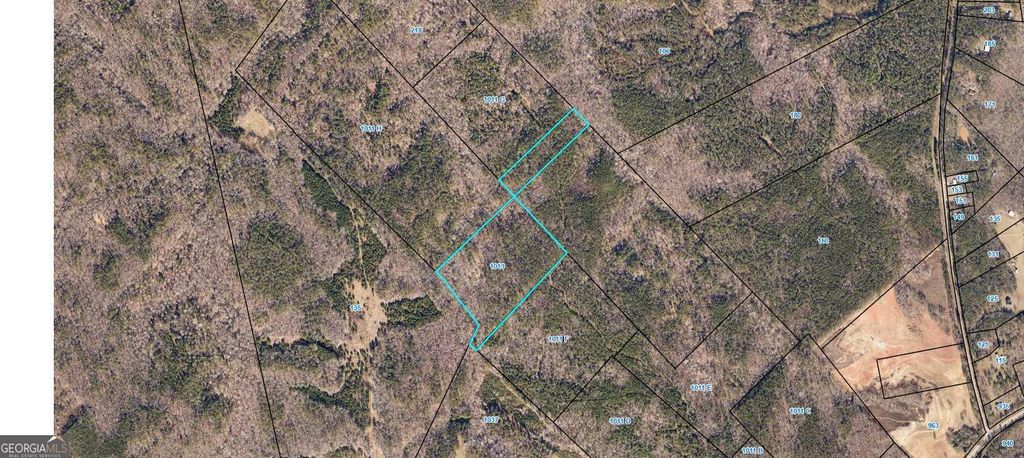 Photo of 1013 49 W Highway, Haddock, GA 31033 (MLS # 10732181)