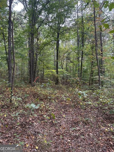 3842 Salacoa -TRACT A