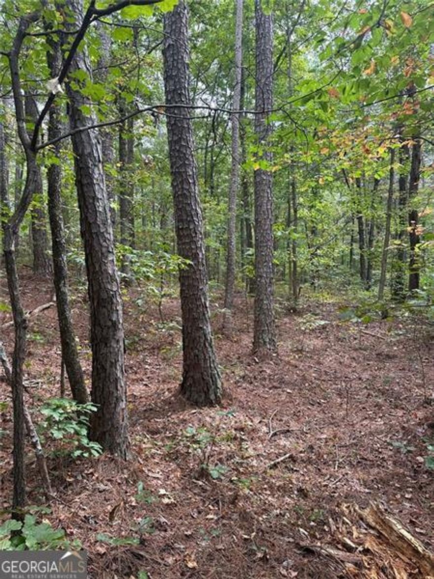 Rare affordable lot in Salacoa valley. 3 lots available. All 3 lots will have a view in winter of beautiful Salacoa creek. Nice level building areas for each lot that could accommodate a slab or basement. Large mature woods surrounding for complete privacy. County water is available. All soil work completed and ready to build. No restrictions. Blank slate create what you want. Bring your builder or if you need one we can provide. New high school opening in 2026. Get there quick! These lots won't last.