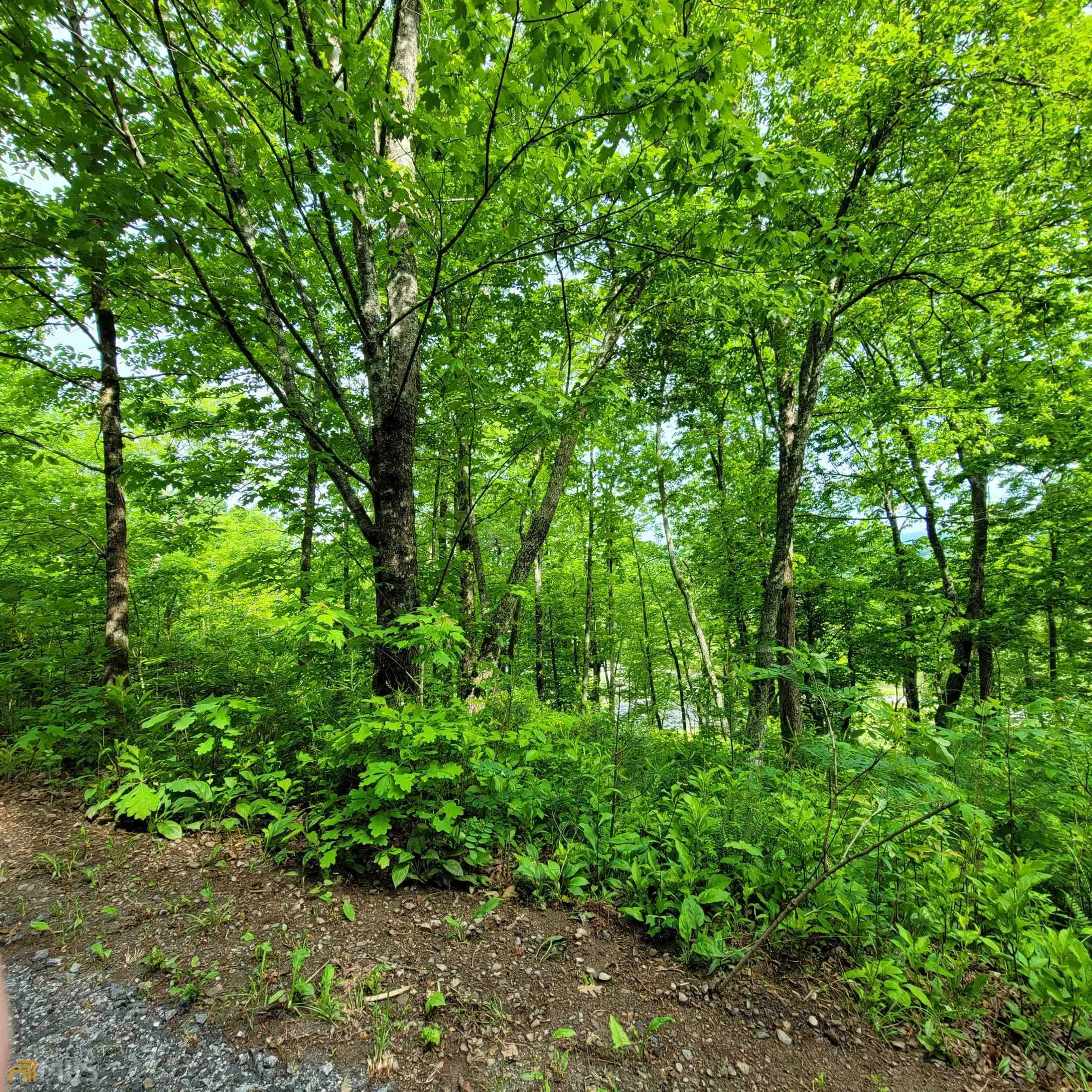 5 Oak Forest Acres