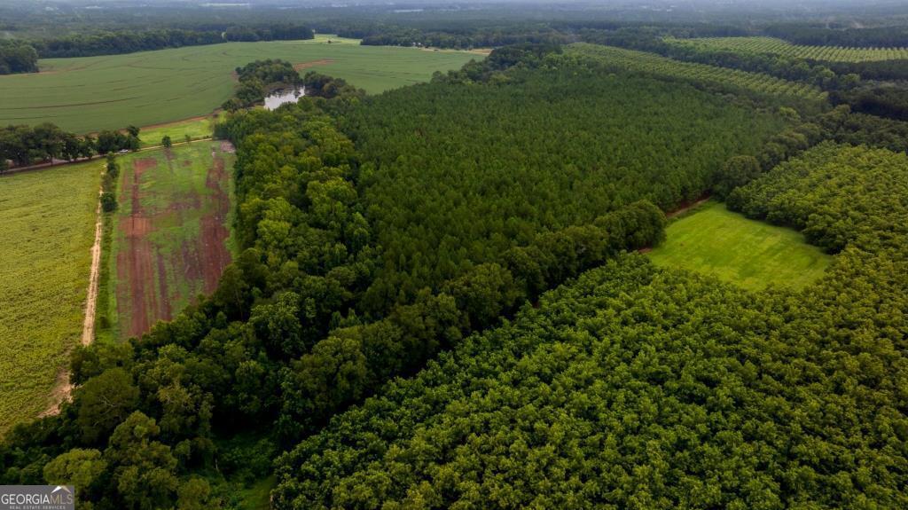 Westside Acres Tract 6: This 12 acre tract offers plenty of space to build your dream home in a highly sought after area of Bulloch County.  Located 9 miles from downtown Statesboro on WH Smith Rd.  The tract is timbered in planted pines, making a beautiful setting for a homesite.  If you are looking for a place to plant your roots and enjoy peaceful country living, this is the place for you! Deed restrictions will apply, including no mobile homes and no subdividing.