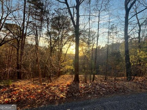 Photo of 331 Paladin Drive NE, Ranger, GA 30734 (MLS # 10668468)