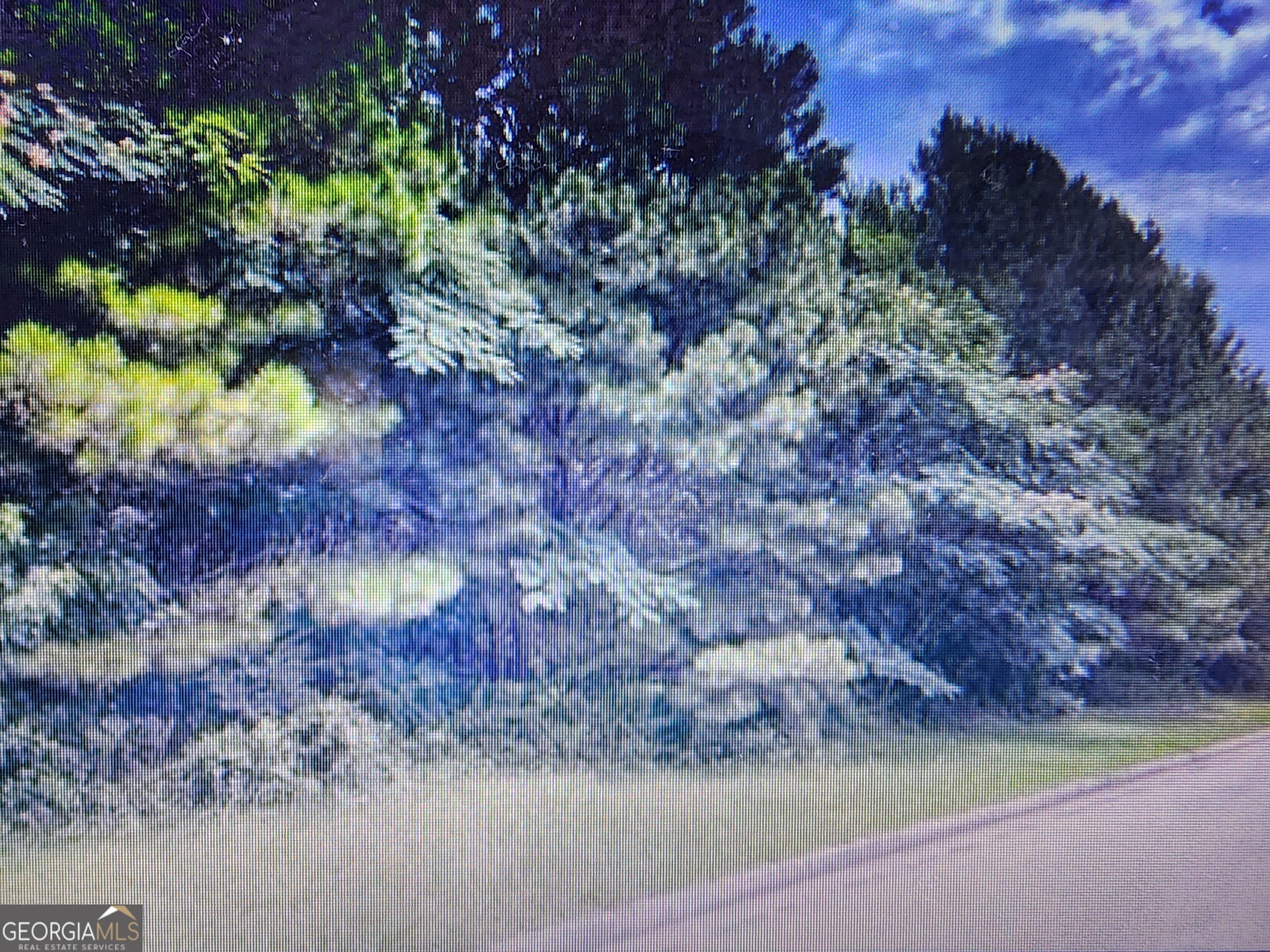 91 Cannon Ridge View