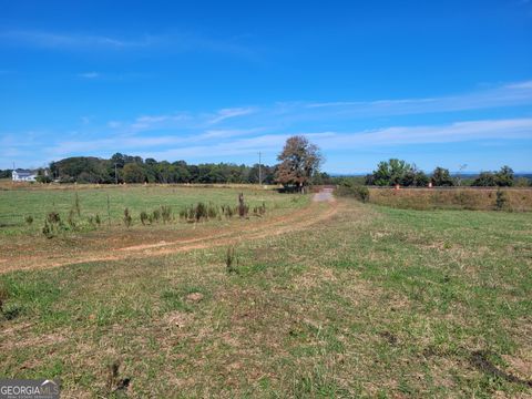 8117 Sandy Cross RD Carnesville GA 30521