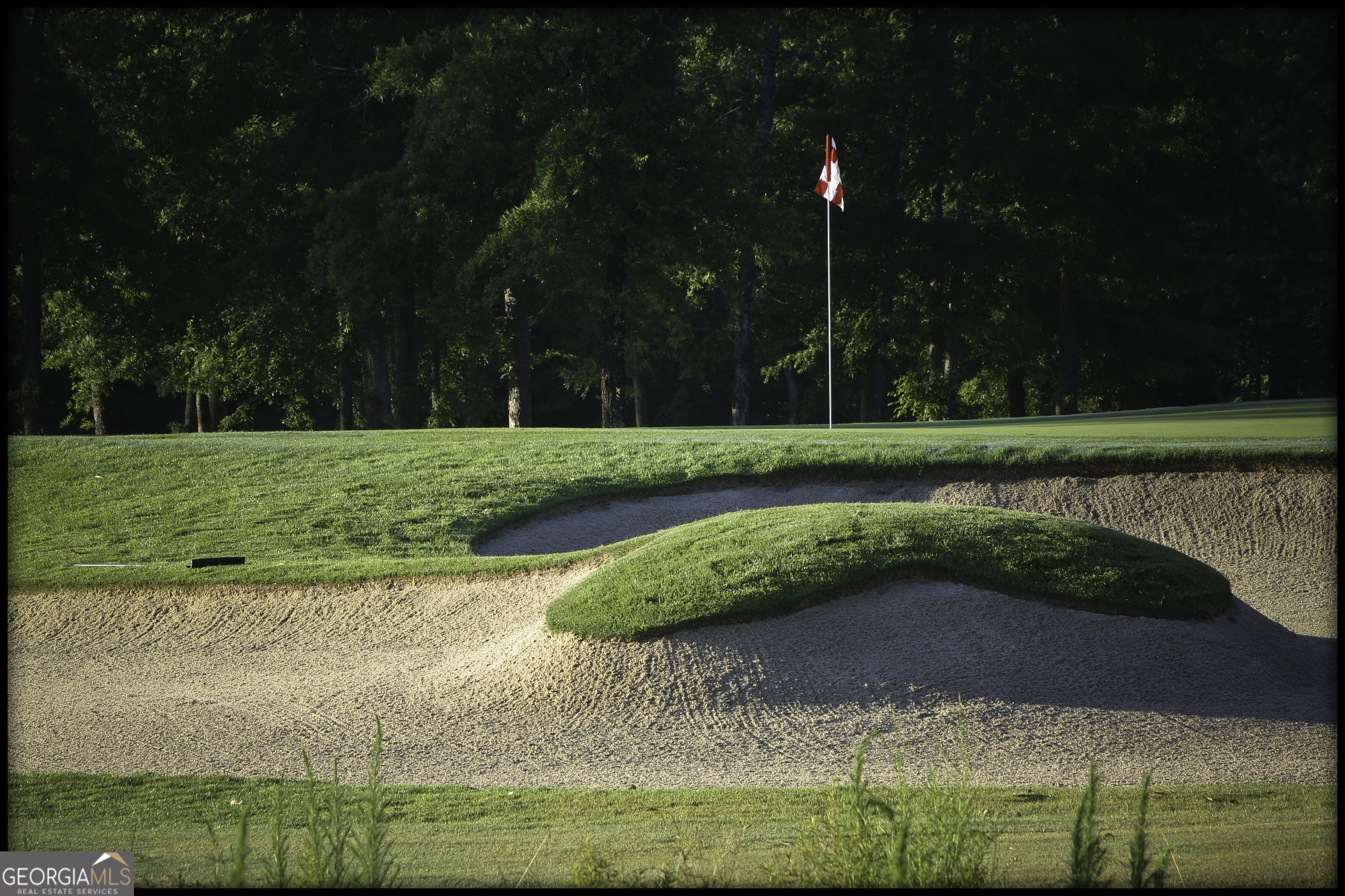 The Georgia Club - Residential