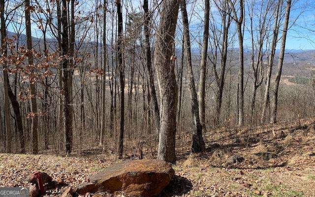 If you're looking to build your dream home in the North Georgia Mountains, this lot is ideal. It features a gentle slope that's ideal for a basement and offers stunning views of the Georgia Mountains and Brasstown Valley. Situated in Rocky Knob Estates, a gated community, the lot benefits from well-maintained paved roads and access to a community area that includes a gazebo, fire pit, and observation deck with spectacular vistas. Additionally, you can access the Zell Miller hiking trail from the ridge. Covenants and restrictions are in place to protect your investment. Great opportunity, and competitively priced!