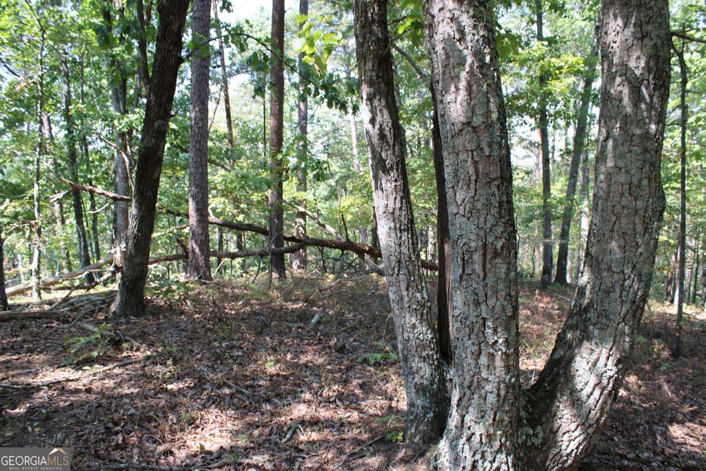 Photo of 00 Conniston Road, Chatsworth, GA 30705 (MLS # 10772660)