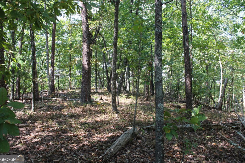 Photo of 00 Conniston Road, Chatsworth, GA 30705 (MLS # 10772660)