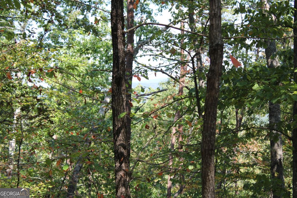 Photo of 00 Conniston Road, Chatsworth, GA 30705 (MLS # 10772660)