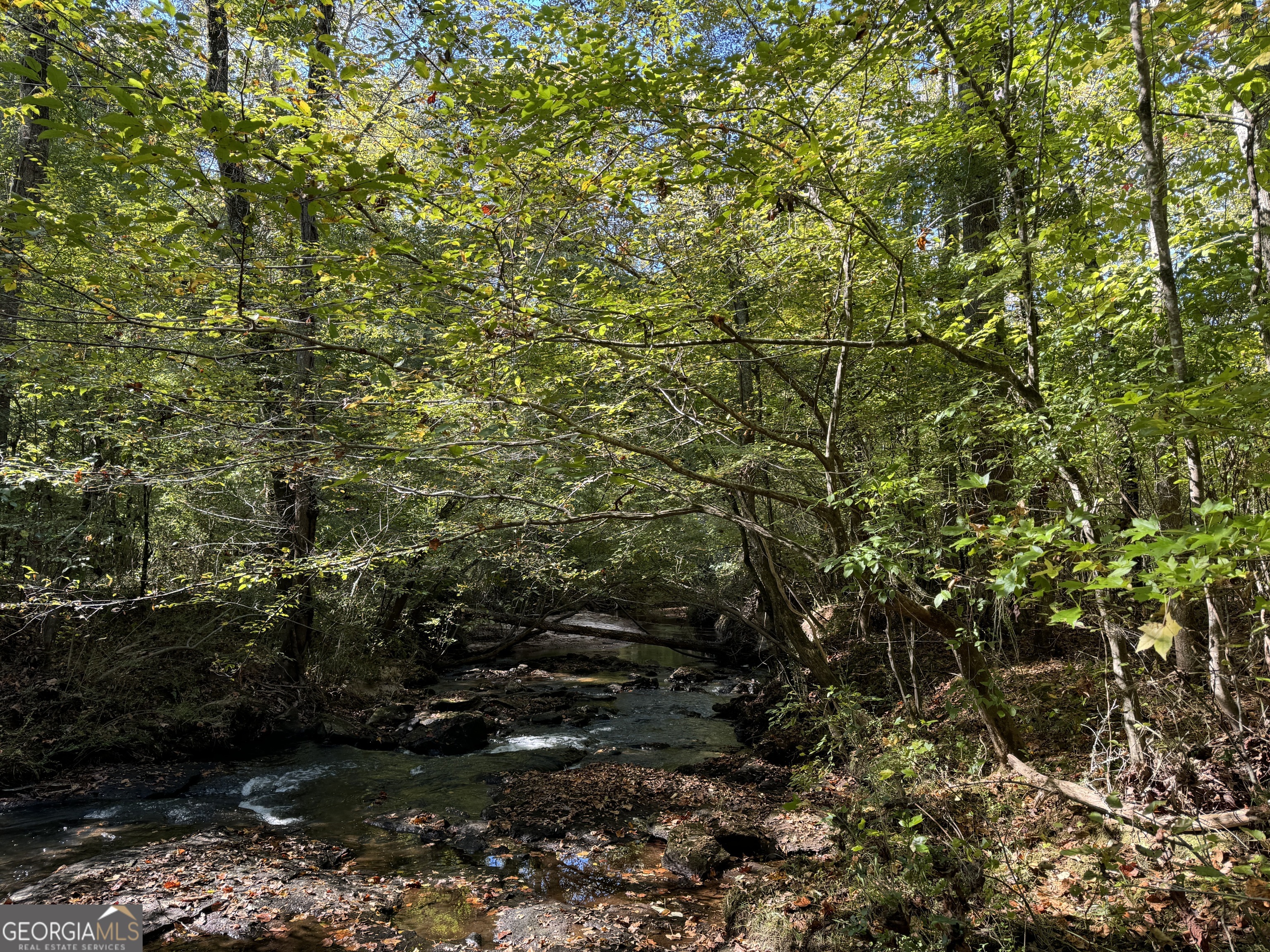 312.37 AC W Ellis RD