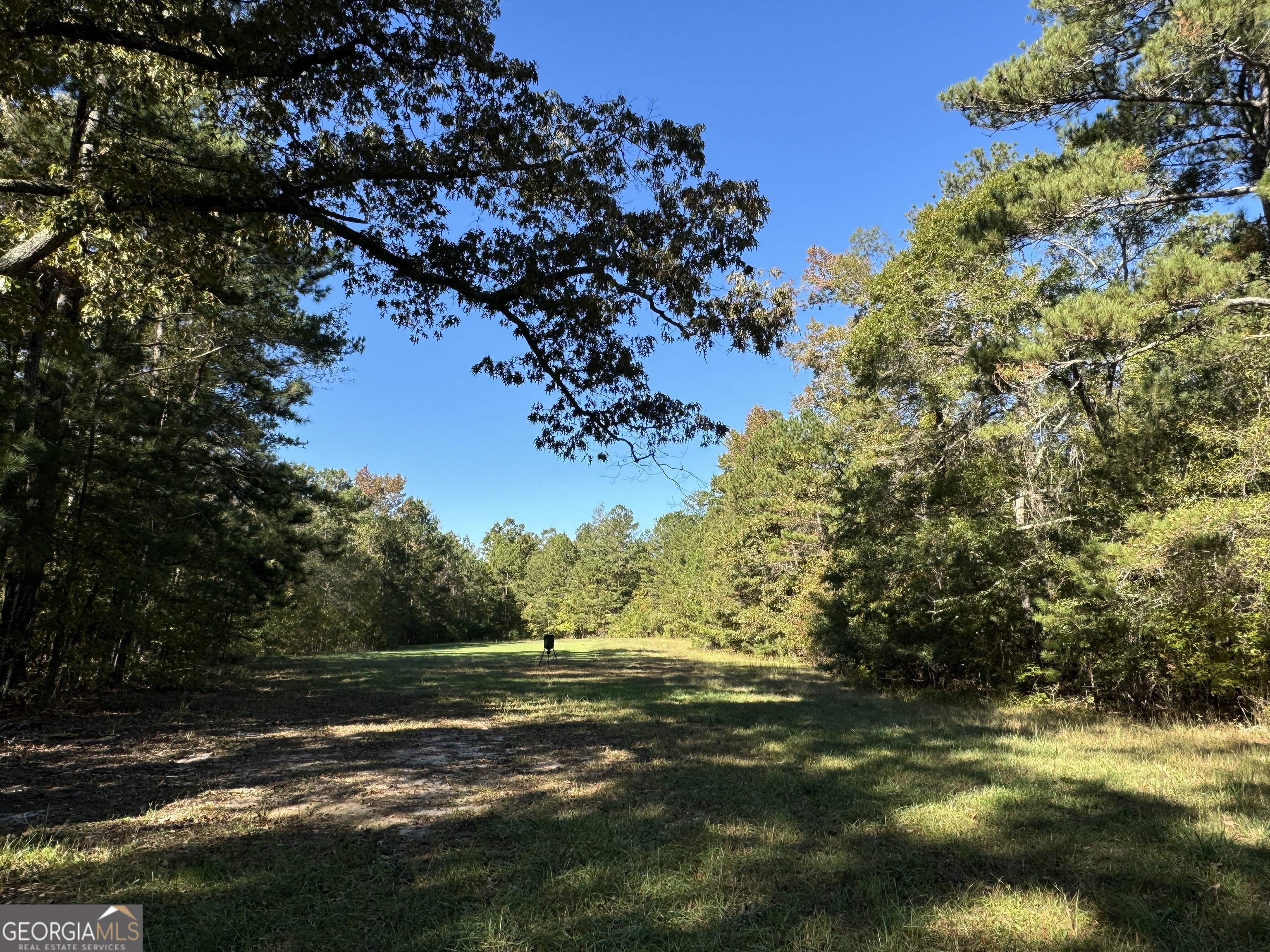312.37 AC W Ellis RD