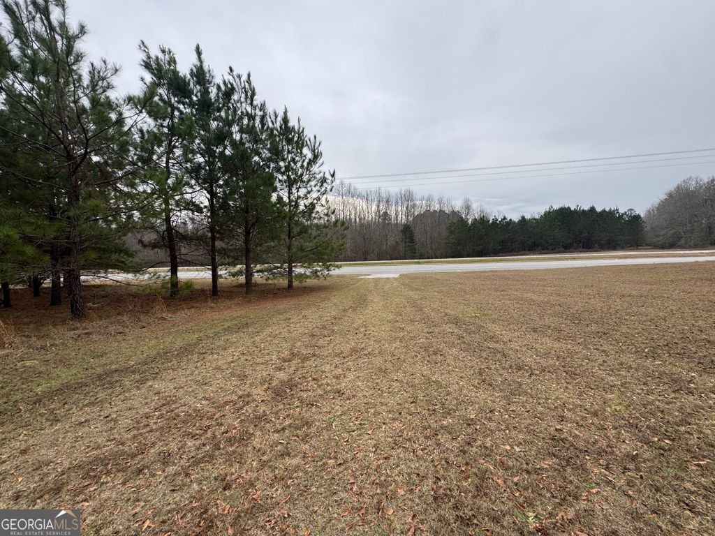 Photo of 3794 Millen Highway, Sylvania, GA 30467 (MLS # 10672306)