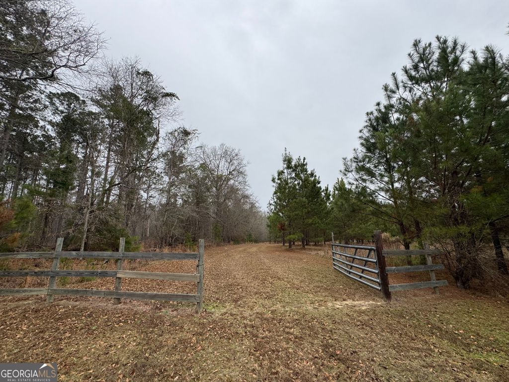 Photo of 3794 Millen Highway, Sylvania, GA 30467 (MLS # 10672306)