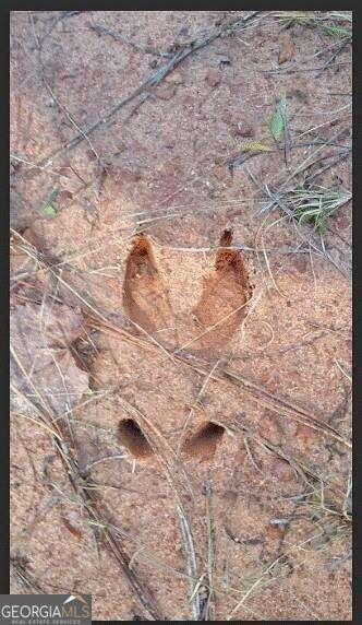 1047 Ponder Trammell RD