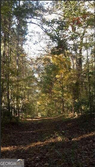 1047 Ponder Trammell RD