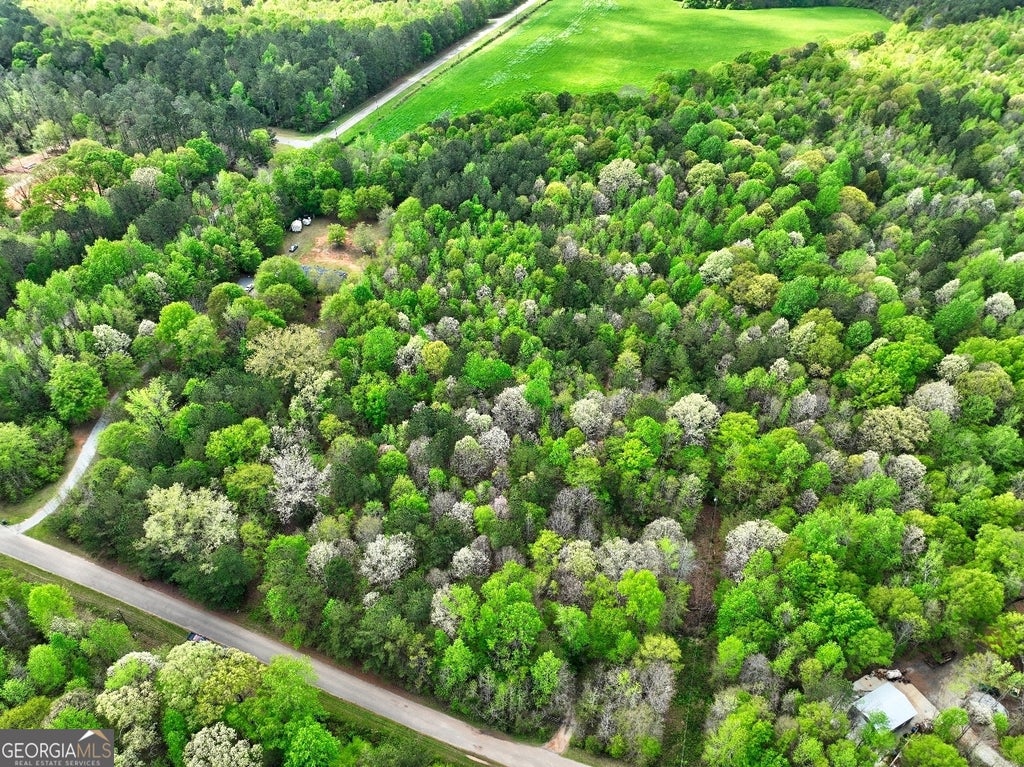 Photo of 18 Shady Farms Road, Monticello, GA 31064 (MLS # 10876083)