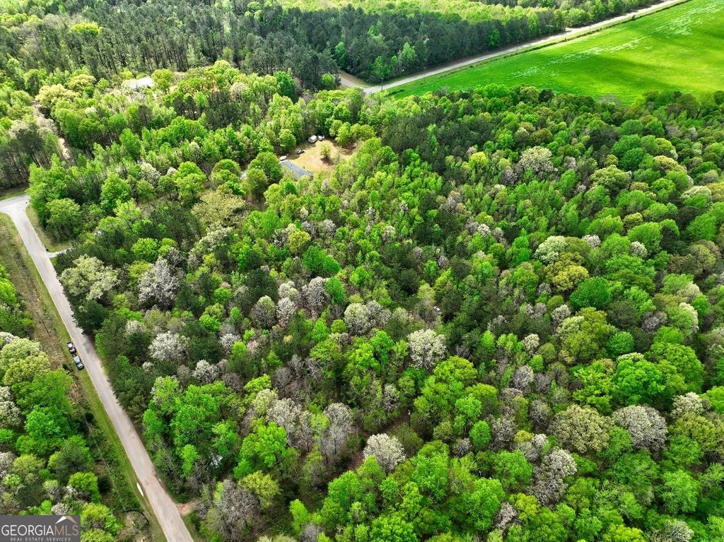 Photo of 18 Shady Farms Road, Monticello, GA 31064 (MLS # 10876083)