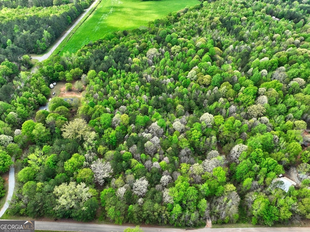 Photo of 18 Shady Farms Road, Monticello, GA 31064 (MLS # 10876083)