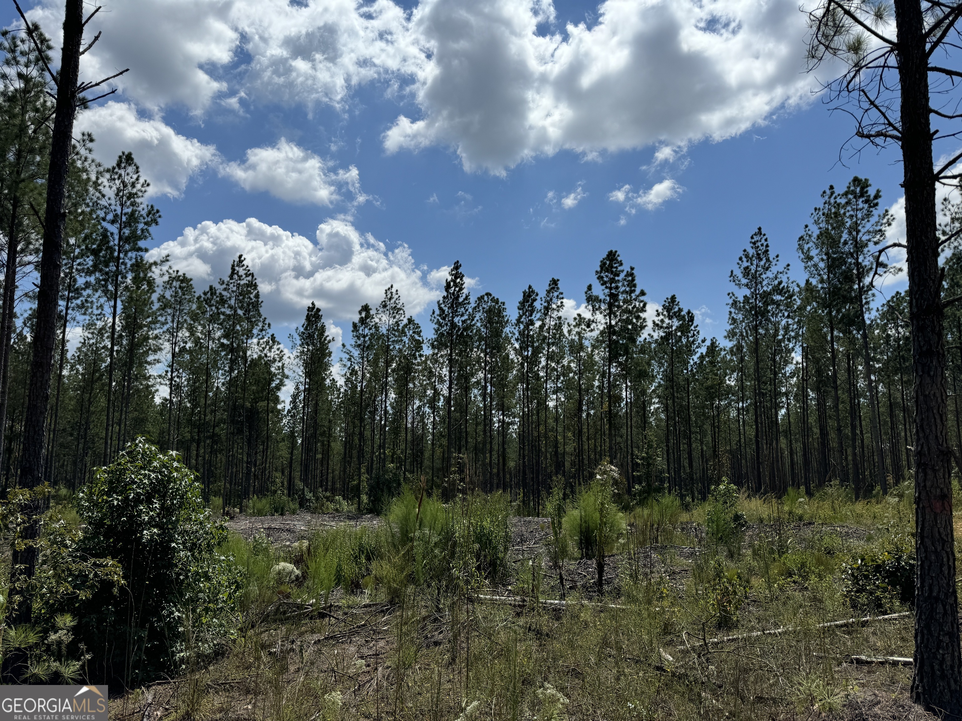 TR 5 19.018 AC Pike RD