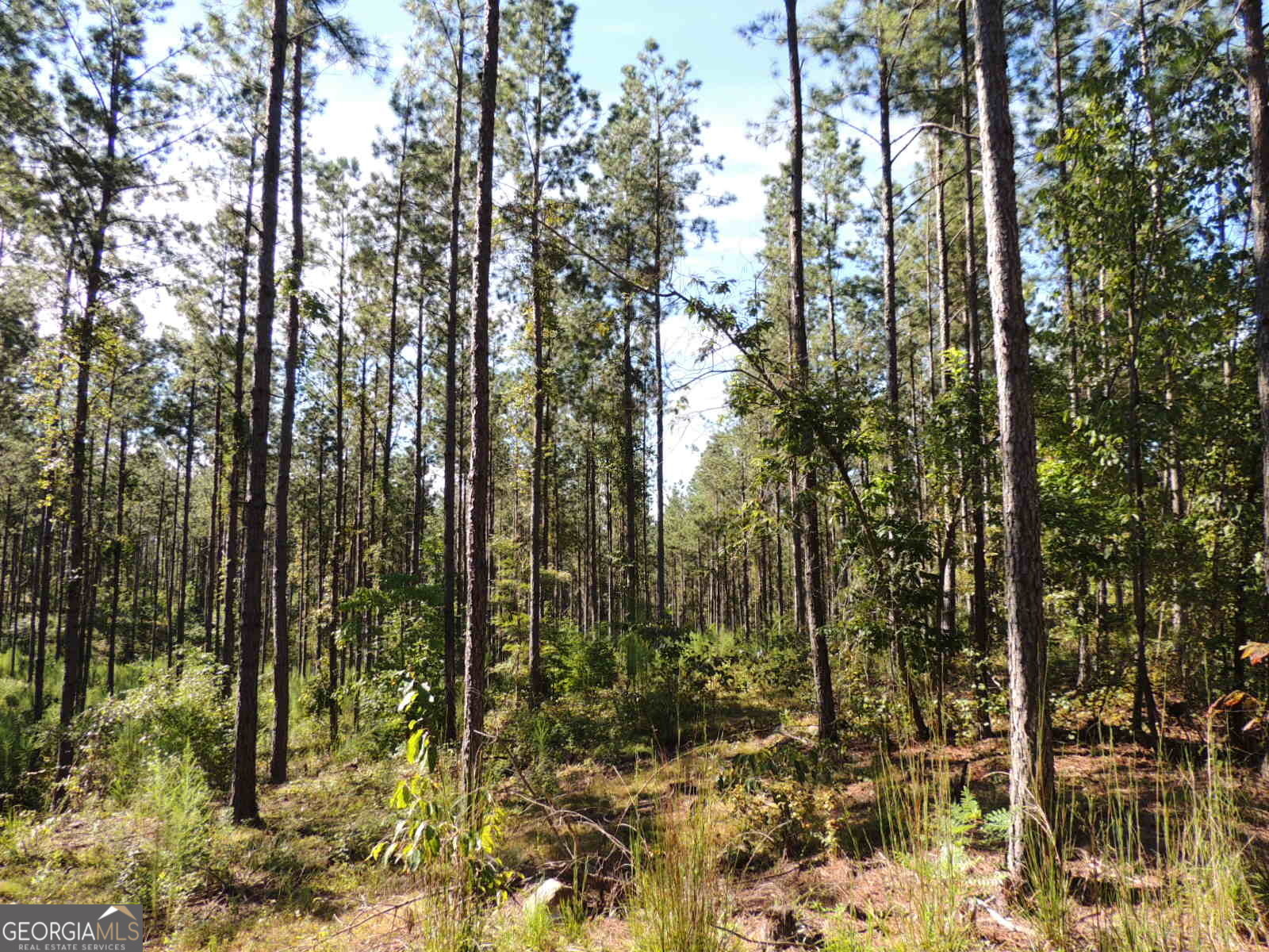 TR 5 19.018 AC Pike RD