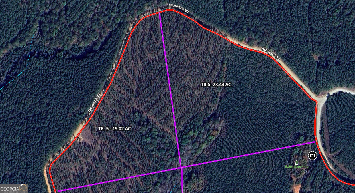 Embrace the beauty and potential of this expansive 19.018-acre tract in desirable South Heard County. Fully wooded and offering long road frontage, this property provides an excellent combination of accessibility and privacy. Located just off Highway 27 and only minutes south of Franklin, it's the perfect setting for those seeking convenience without sacrificing peace and seclusion. The gently rolling topography creates an inviting landscape with multiple options for home placement, including a hilltop site ideal for a private residence with picturesque views of the surrounding forest. The property offers flexibility for future use, whether you're planning a single homestead or recreational retreat.