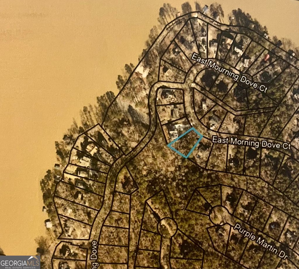 Photo of 0 E Mourning Dove Court #LOT 50, Monticello, GA 31064 (MLS # 10673329)