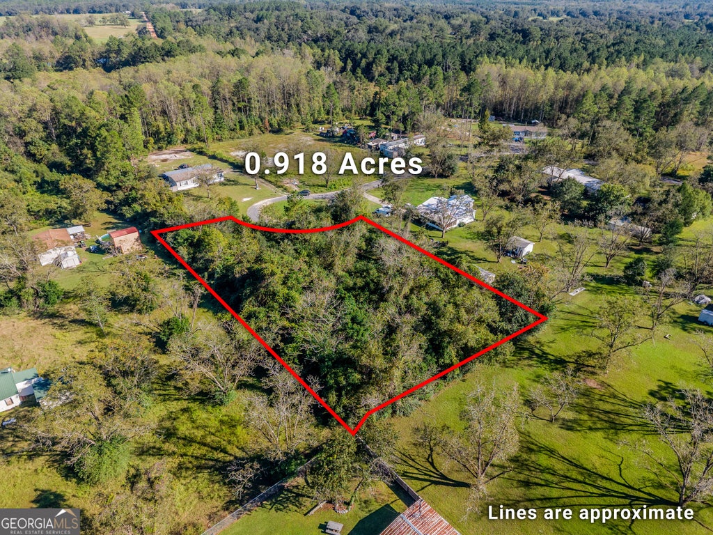 Photo of 92 Harvard Avenue, Blackshear, GA 31516 (MLS # 10875049)