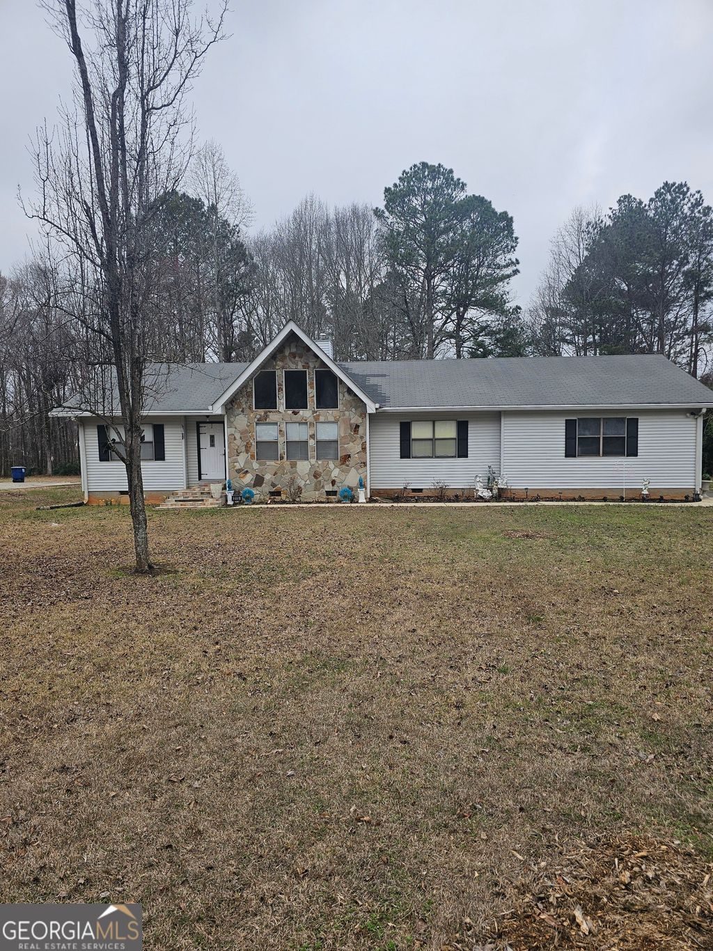 Photo of 215 Carl Parker Road, Hampton, GA 30228 (MLS # 10701364)