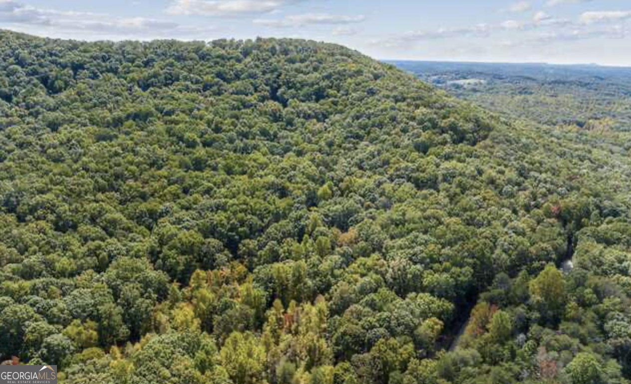 LOT 24 Luther Palmer RD