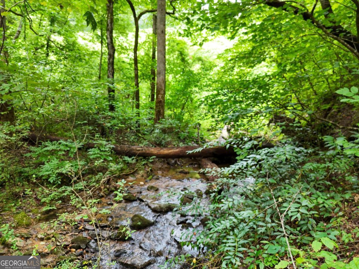 Great opportunity to own 52.49 +/- acres of pristine, undeveloped land less than 2 miles from the heart of downtown Clayton. The entire back line of the property borders U.S. Forest Service Land, providing direct access to thousands of acres of protected wilderness. Chechero Creek winds through the front of the property. Located just before Kingwood Golf & Country Club. Whether you're looking to create a family estate or have a vacation retreat this property offers great potential in a highly desirable location.