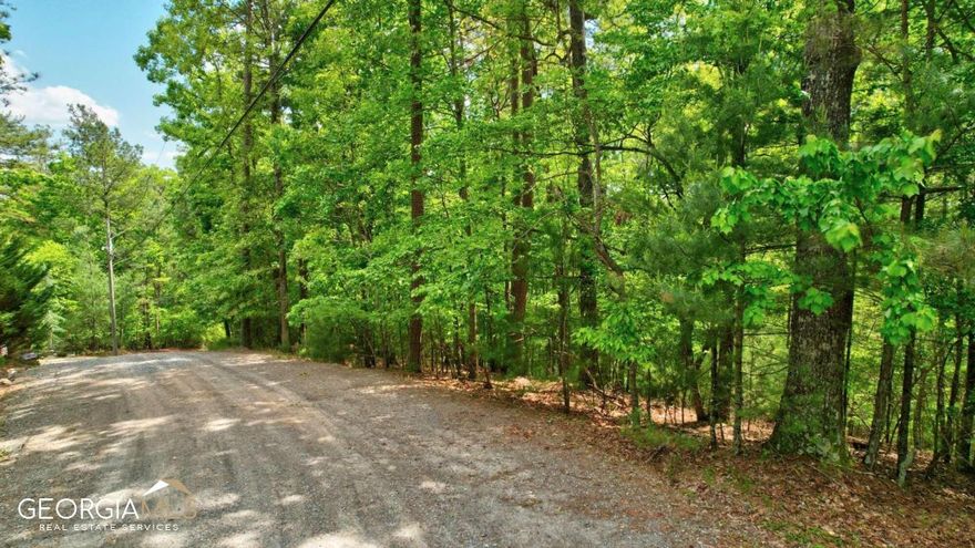Large lot in the popular Coosawattee River Resort loaded with beautiful hardwoods and seasonal mountain views. Located on a gravel road in a quiet, secluded area of Coosawattee this lot is perfect for your new vacation rental, part-time or full-time home. Coosawattee River Resort has many amenities such as tennis courts, a recreation center, two pools, several parks, and numerous fishable ponds. Gated community-Agent must accompany buyer.